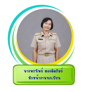 สีเหลือง สีชมพู น่ารัก กรอบ ขอบหน้า เอกสารขนาด a4 (8)